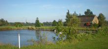 Greenfees